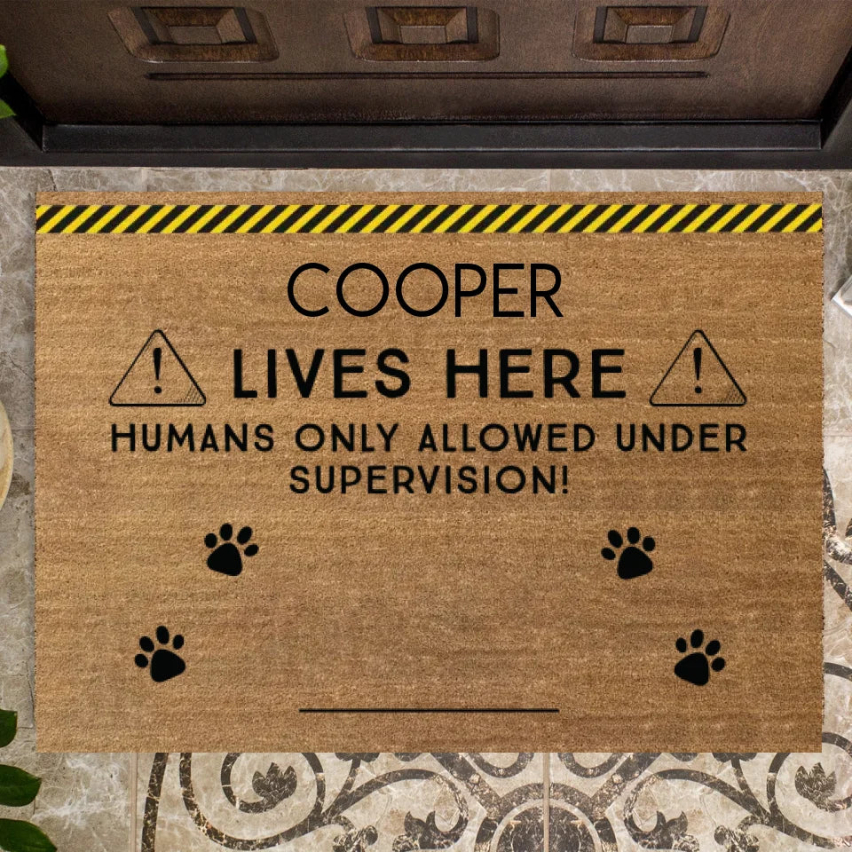Doormat_Mockup_01b