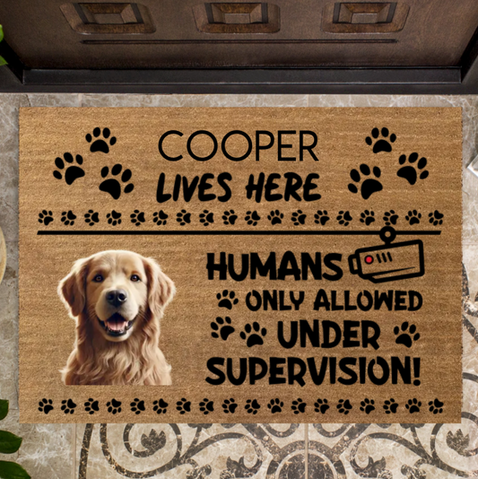 Humans only allowed under supervision!