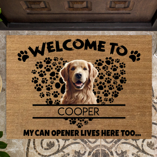 Welcome! My can openers live here too
