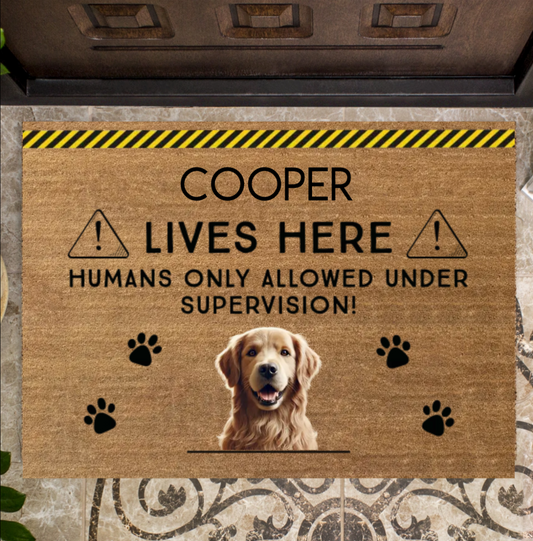Humans only allowed under supervision!