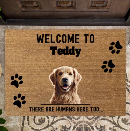 Welcome! There are humans here too...