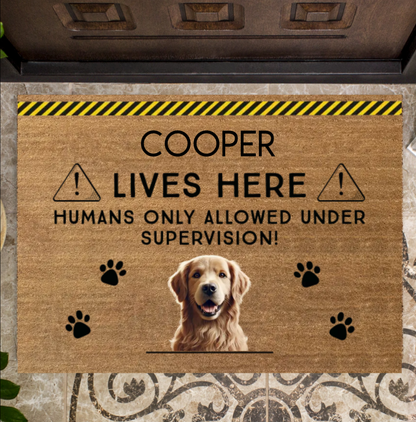 Humans only allowed under supervision!