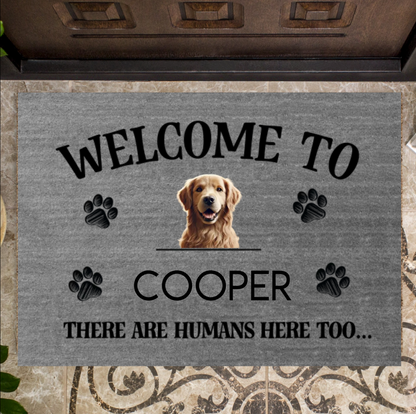 There are humans here too...